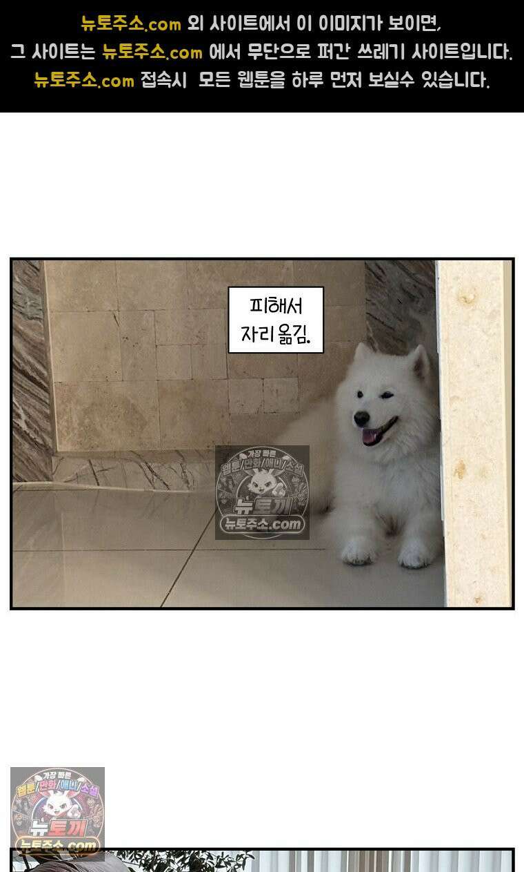 극한견주 시즌2 128화 솜이와 숑이의 싸움 28
