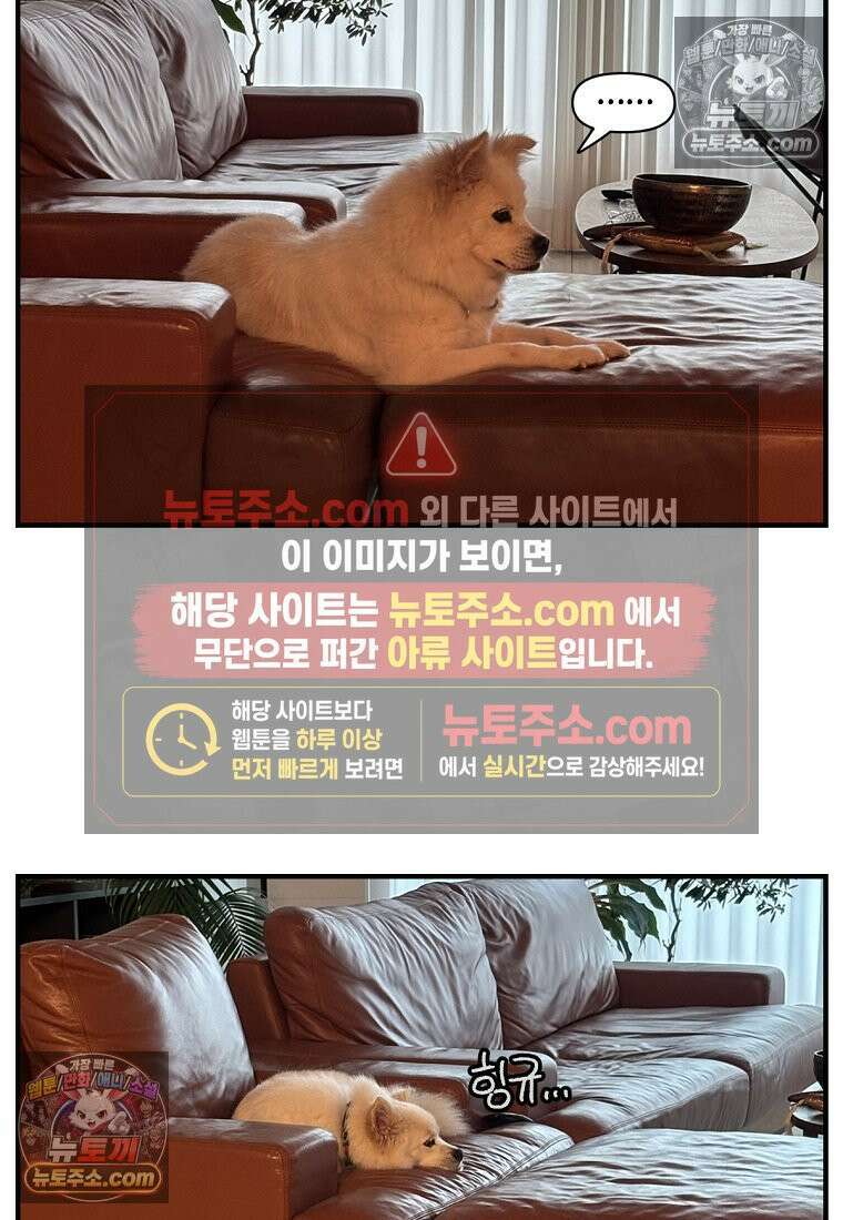 극한견주 시즌2 128화 솜이와 숑이의 싸움 29
