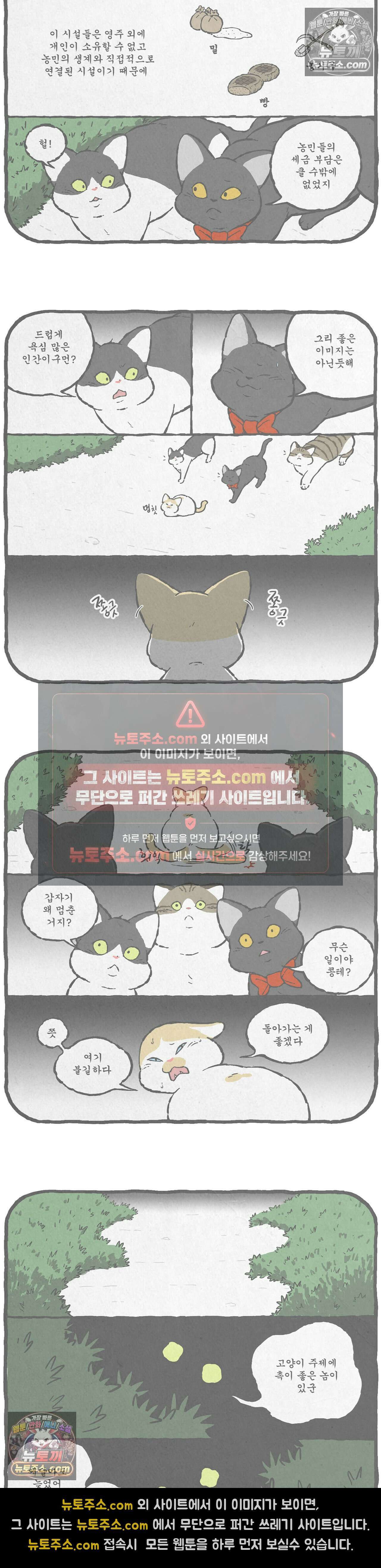 고로애옳 14화 3
