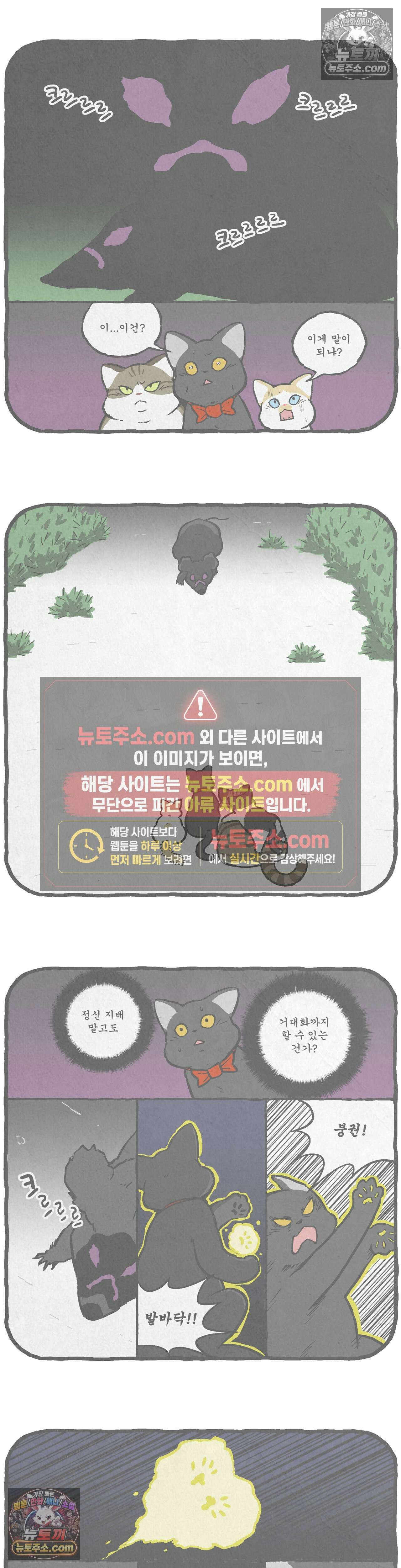 고로애옳 17화 2
