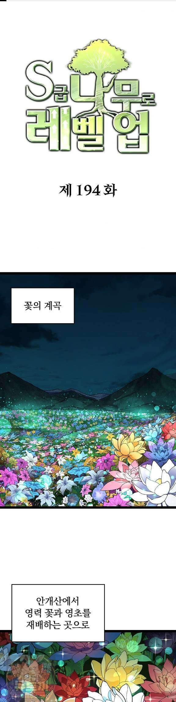 S급 나무로 레벨업 194화 1