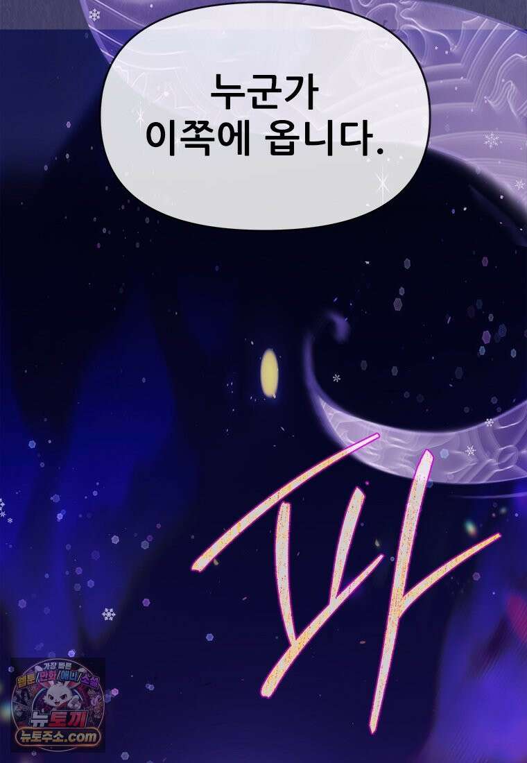 백의사자 133화 꽃은 웃어도 소리가 없고 새는 울어도 눈물이 없기에 35