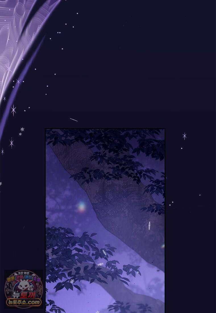 백의사자 133화 꽃은 웃어도 소리가 없고 새는 울어도 눈물이 없기에 38