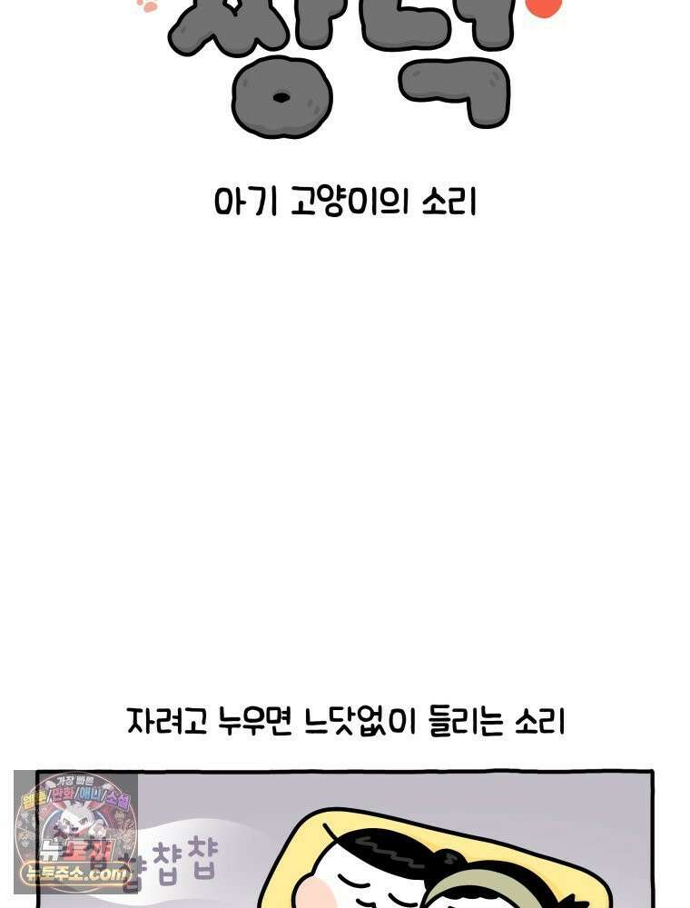 먼지 덩어리 짱덕 14． 아기 고양이의 소리 2