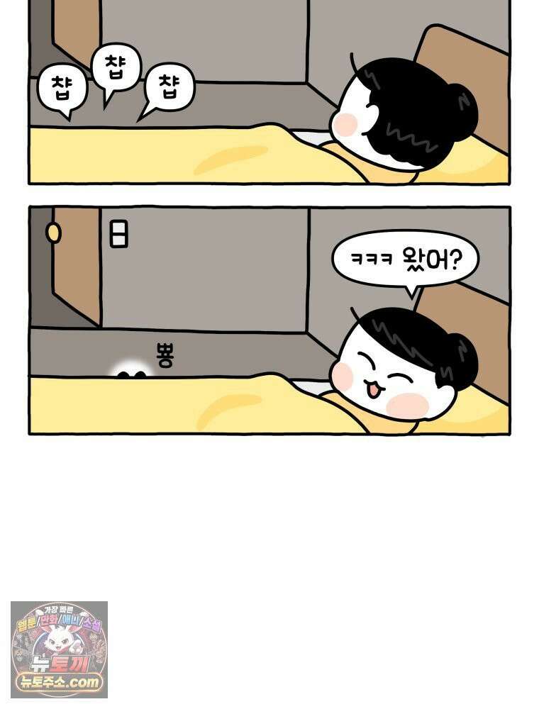 먼지 덩어리 짱덕 14． 아기 고양이의 소리 4
