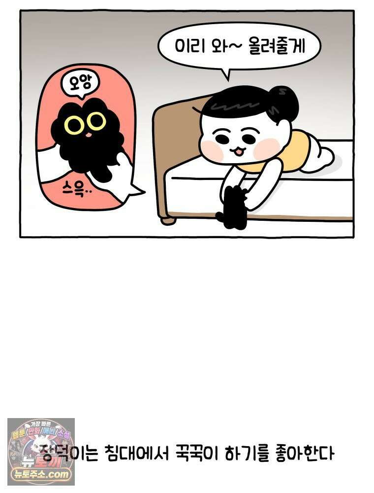 먼지 덩어리 짱덕 14． 아기 고양이의 소리 5