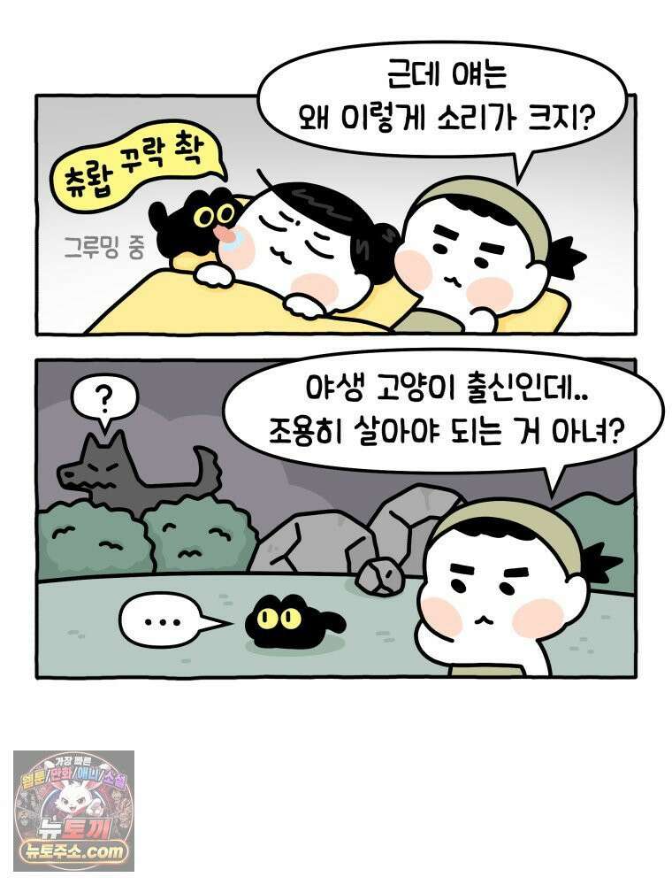 먼지 덩어리 짱덕 14． 아기 고양이의 소리 7