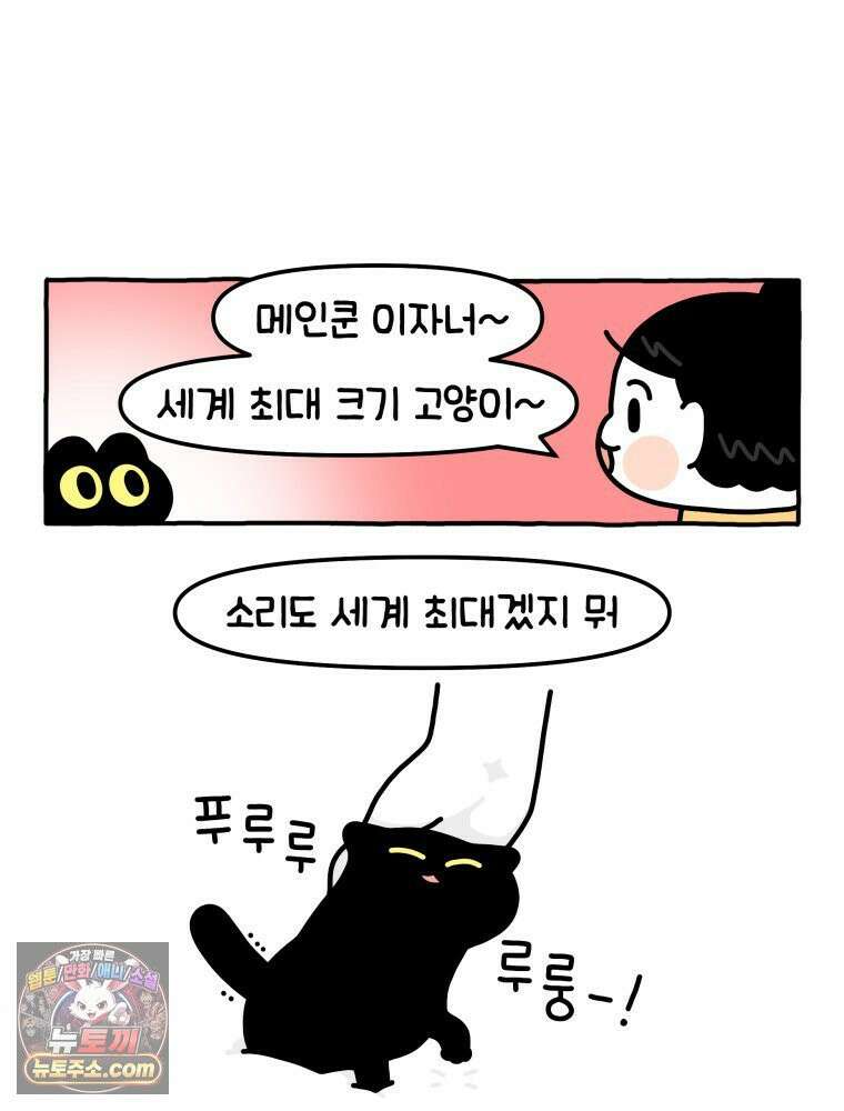 먼지 덩어리 짱덕 14． 아기 고양이의 소리 8