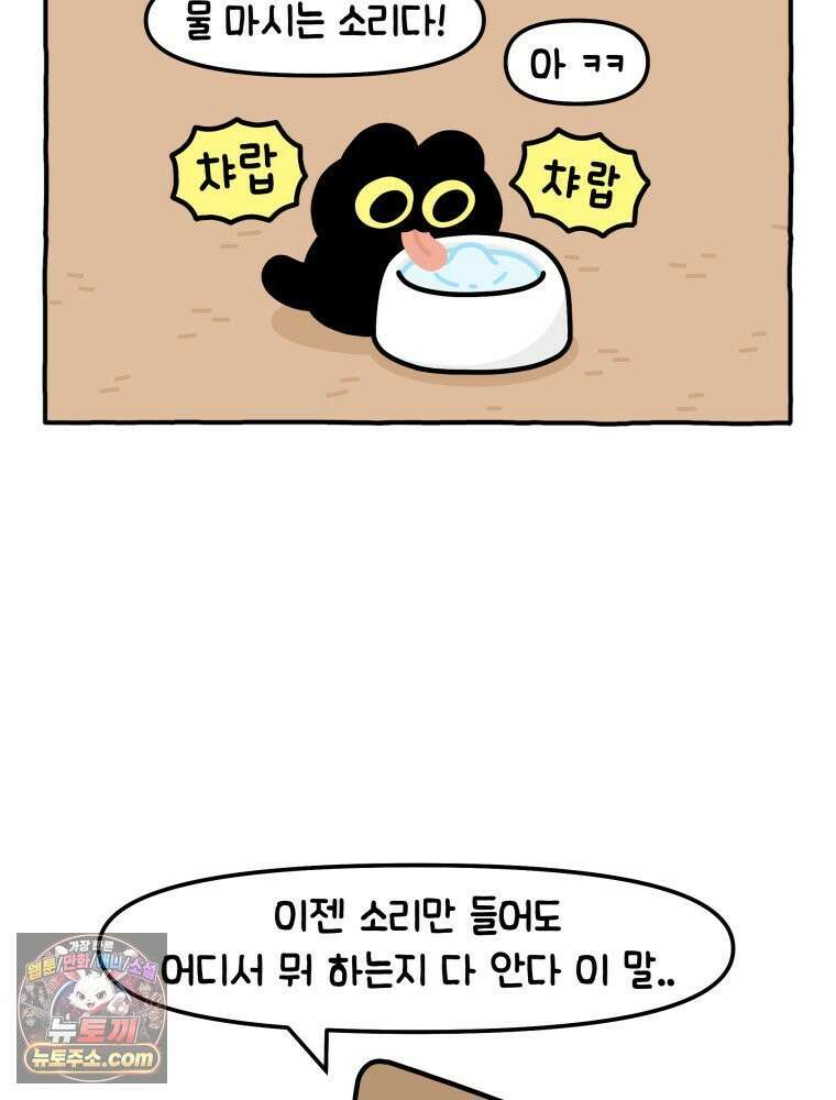 먼지 덩어리 짱덕 14． 아기 고양이의 소리 14