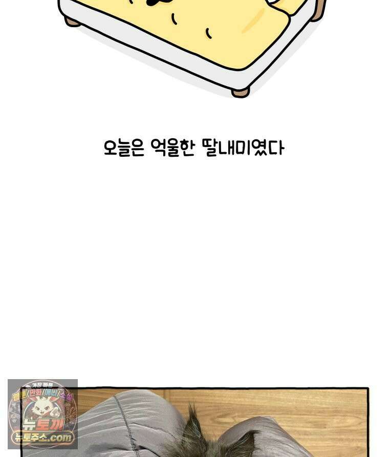 먼지 덩어리 짱덕 14． 아기 고양이의 소리 36