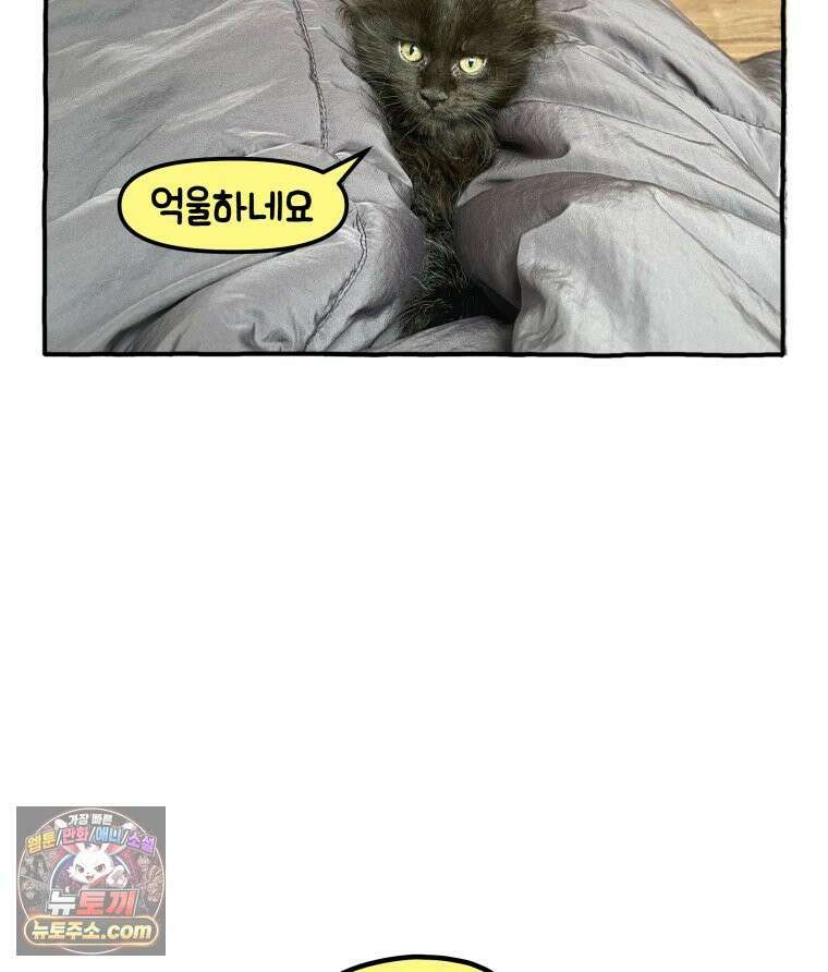먼지 덩어리 짱덕 14． 아기 고양이의 소리 37