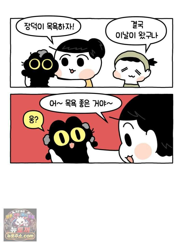먼지 덩어리 짱덕 29． 고양이 빨래 11