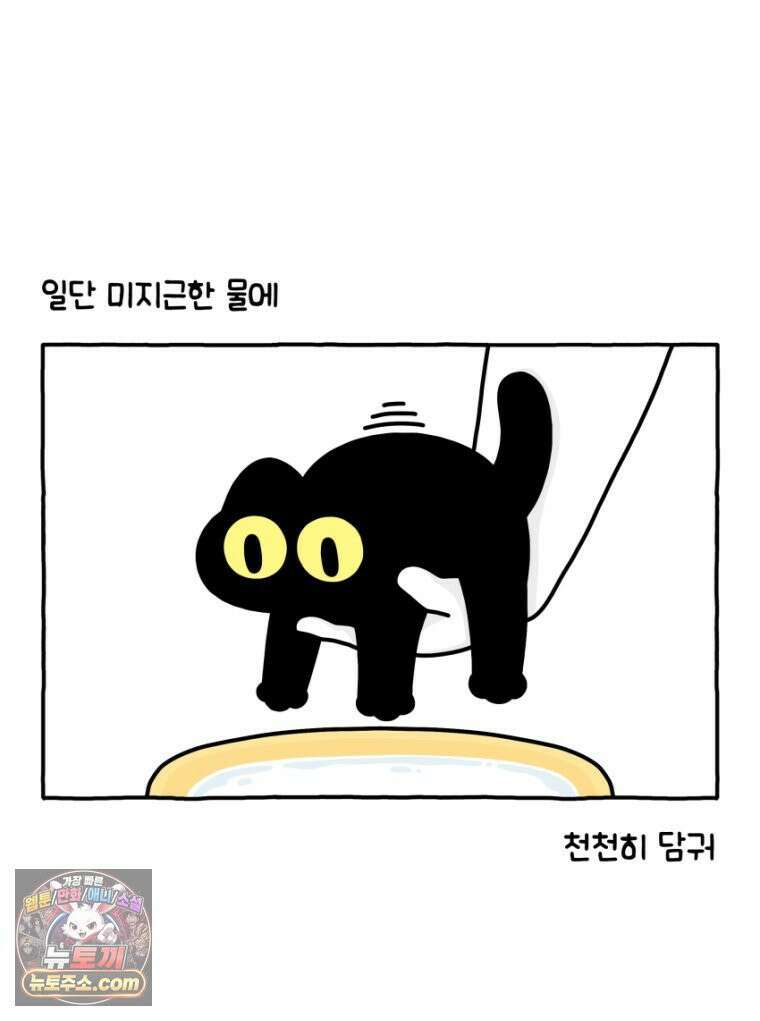 먼지 덩어리 짱덕 29． 고양이 빨래 13