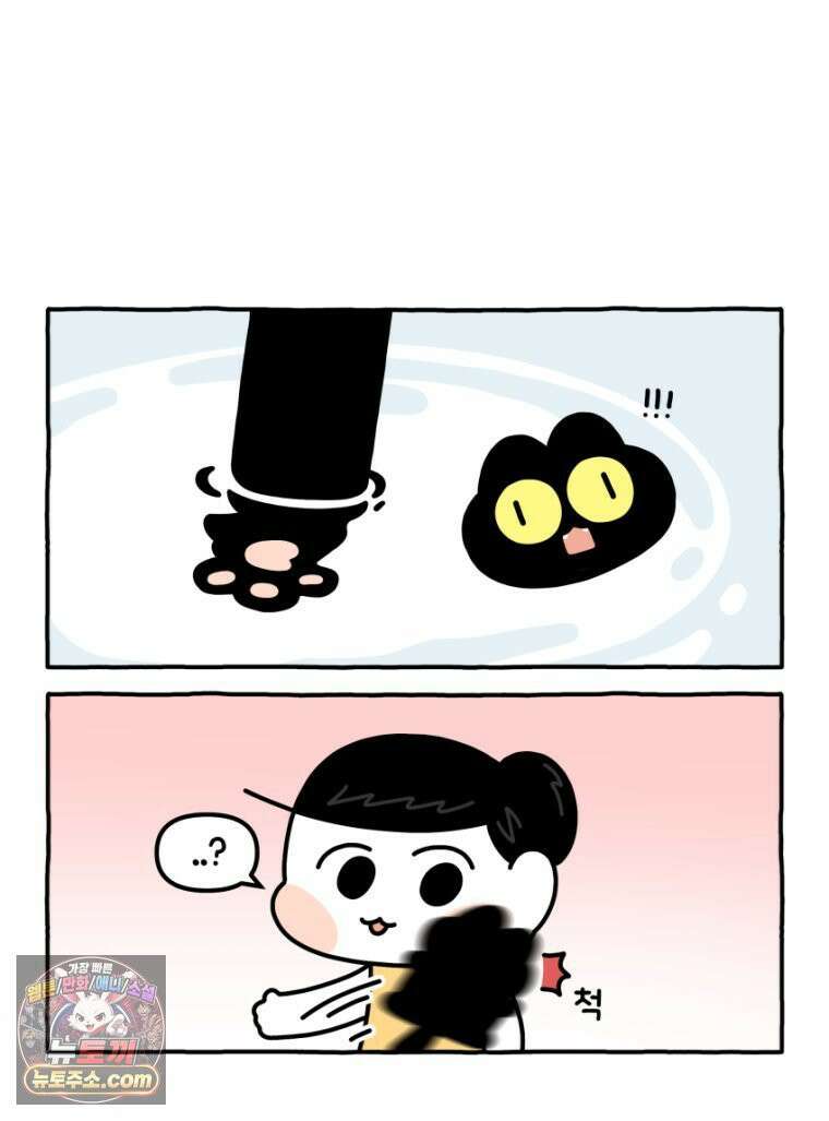 먼지 덩어리 짱덕 29． 고양이 빨래 14