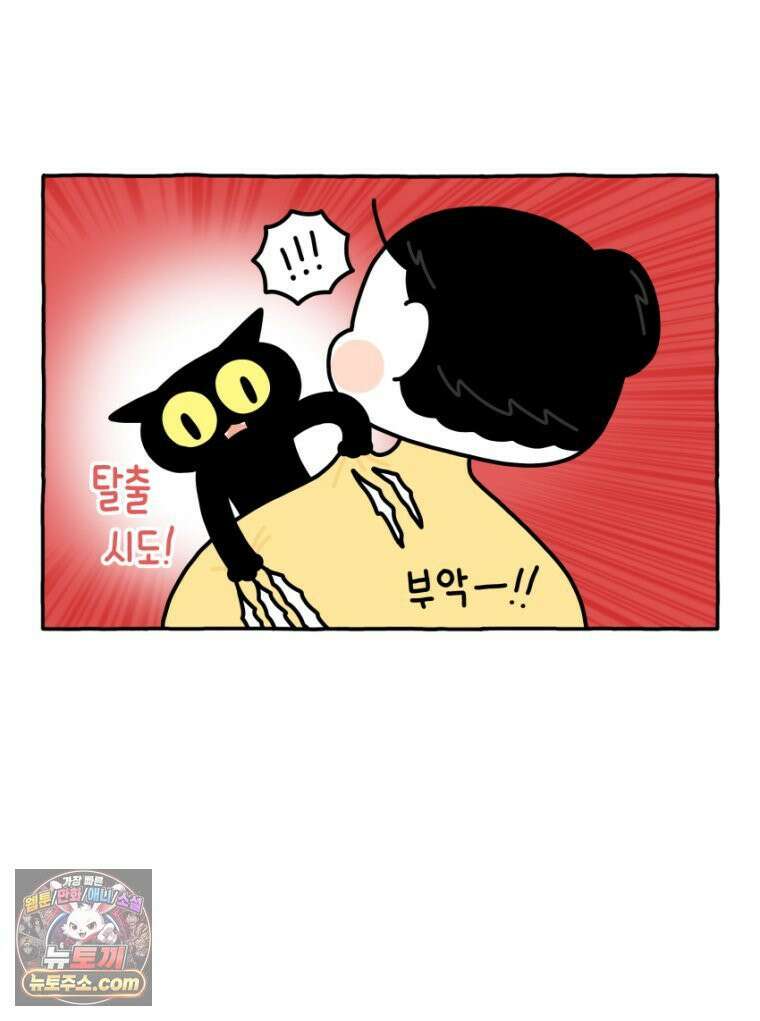 먼지 덩어리 짱덕 29． 고양이 빨래 16