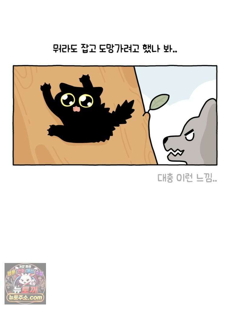먼지 덩어리 짱덕 29． 고양이 빨래 19