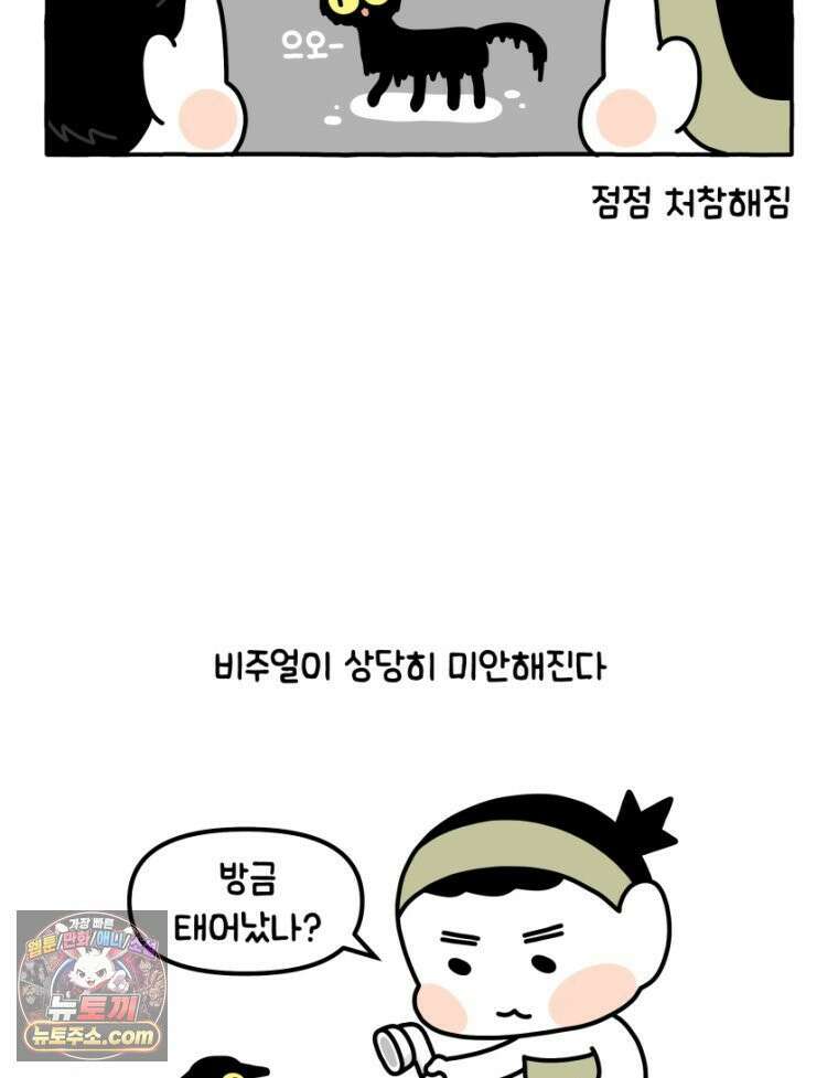 먼지 덩어리 짱덕 29． 고양이 빨래 24