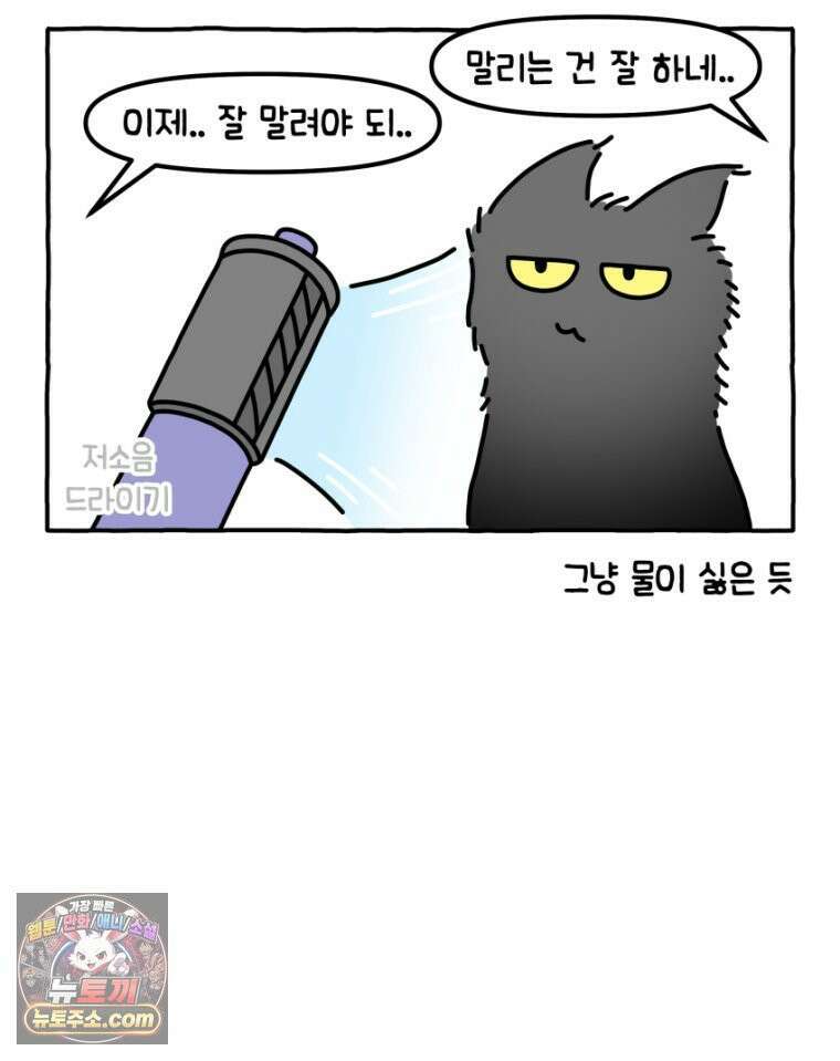 먼지 덩어리 짱덕 29． 고양이 빨래 29