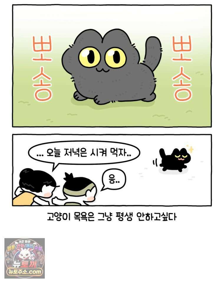 먼지 덩어리 짱덕 29． 고양이 빨래 30