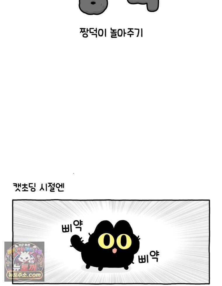 먼지 덩어리 짱덕 36． 짱덕이 놀아주기 2