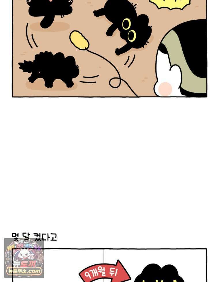 먼지 덩어리 짱덕 36． 짱덕이 놀아주기 4
