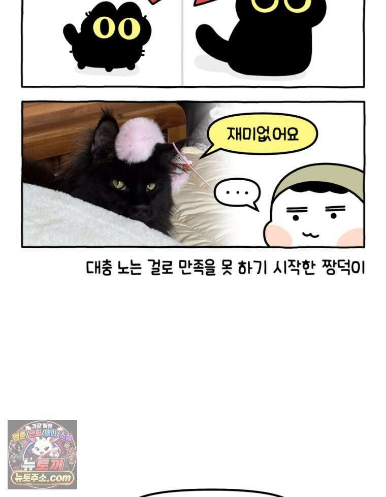 먼지 덩어리 짱덕 36． 짱덕이 놀아주기 5