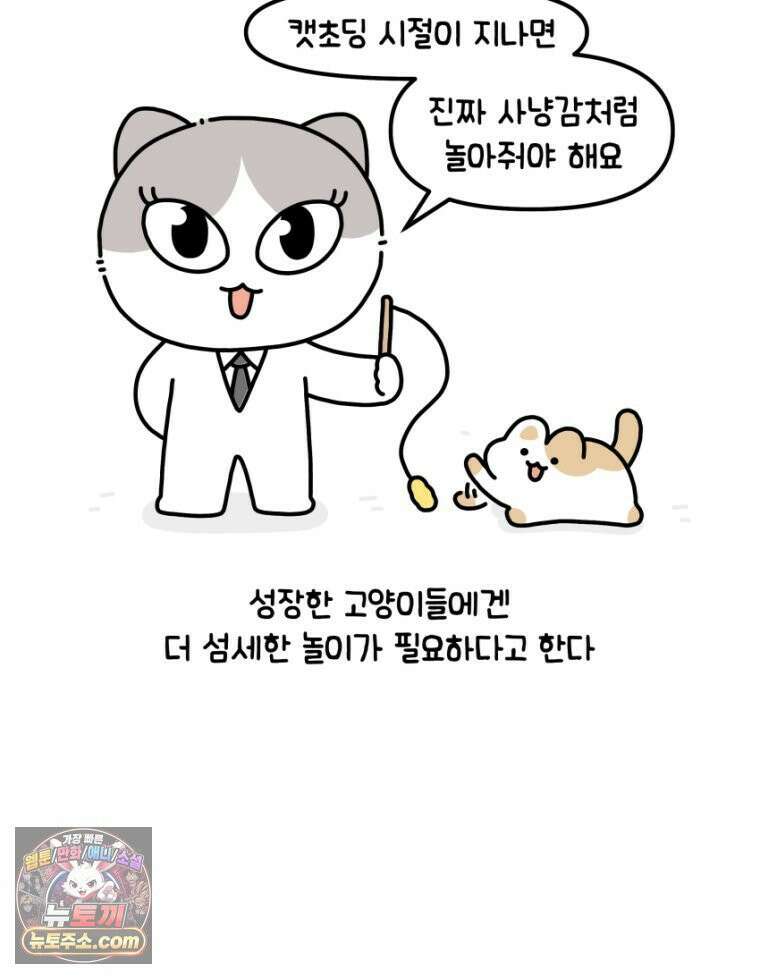 먼지 덩어리 짱덕 36． 짱덕이 놀아주기 6