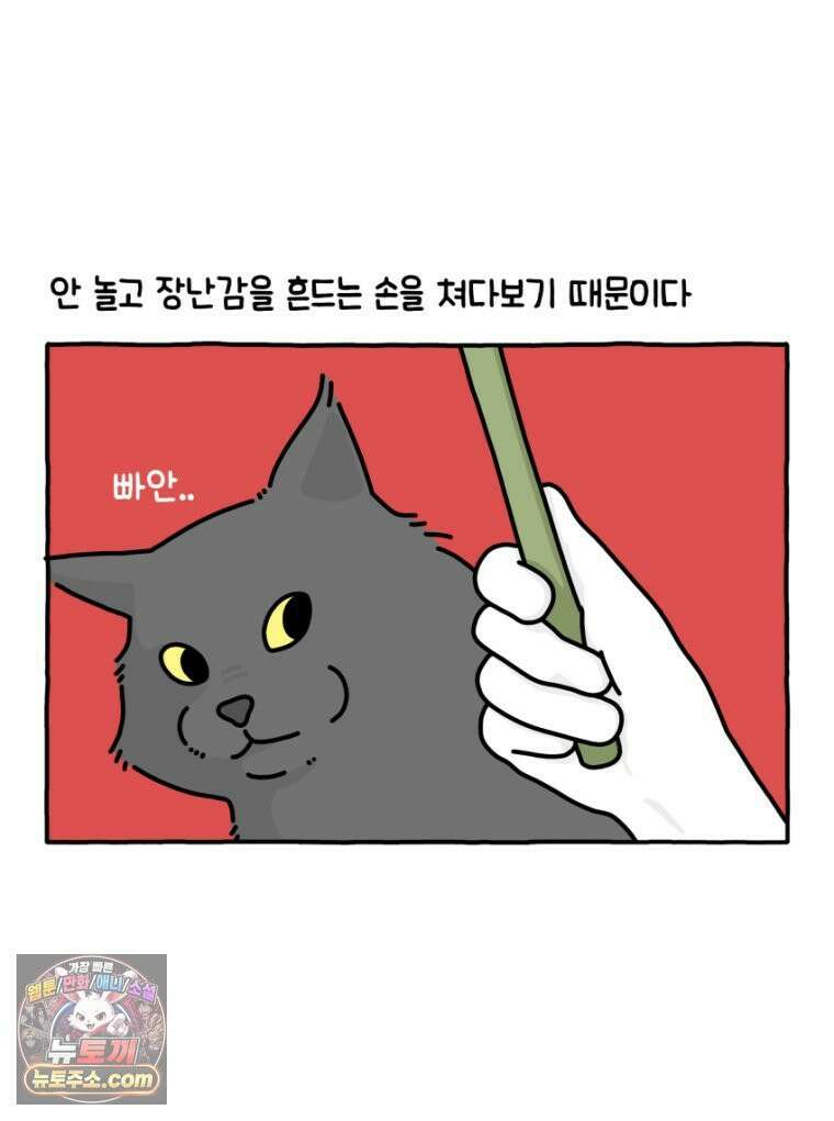 먼지 덩어리 짱덕 36． 짱덕이 놀아주기 13