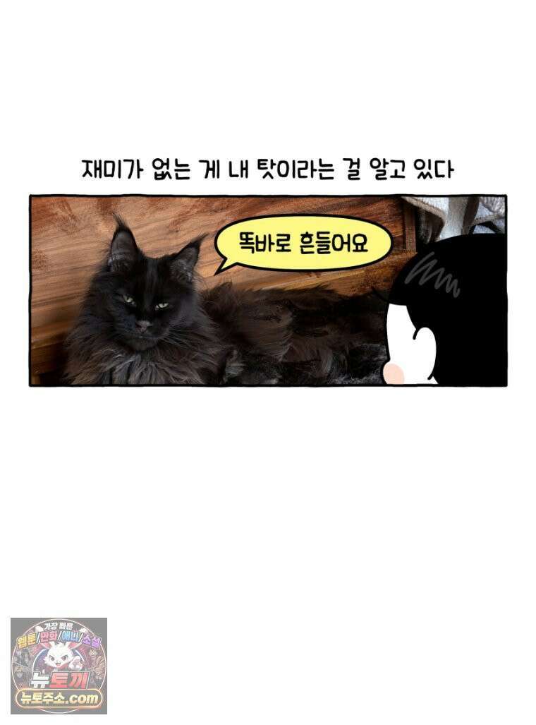 먼지 덩어리 짱덕 36． 짱덕이 놀아주기 14