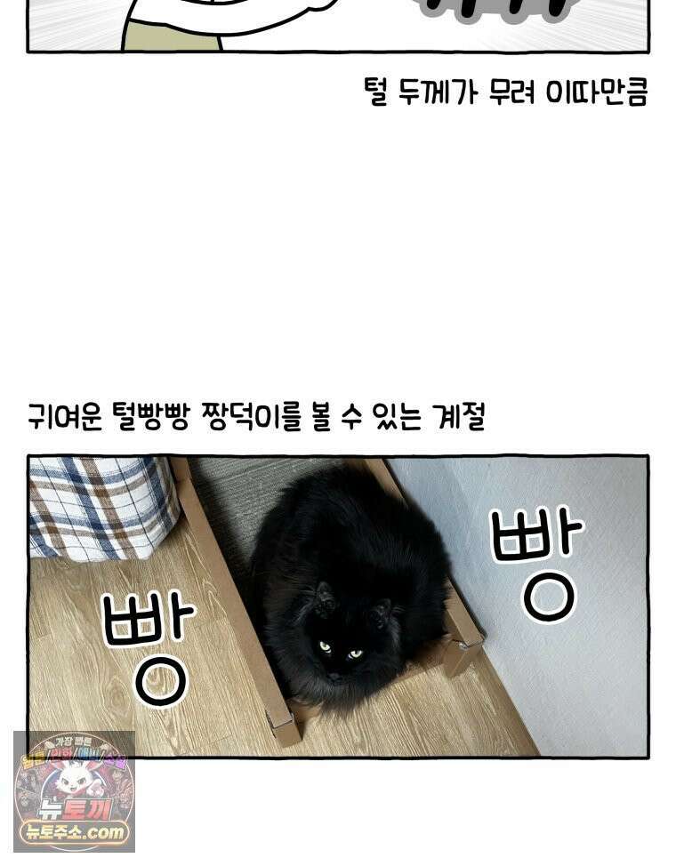 먼지 덩어리 짱덕 43． 겨울이 왔다 6