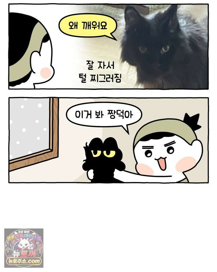 먼지 덩어리 짱덕 43． 겨울이 왔다 11