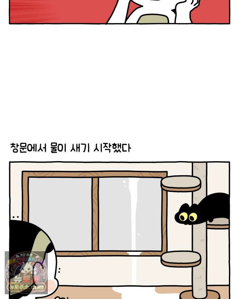 먼지 덩어리 짱덕 43． 겨울이 왔다 21