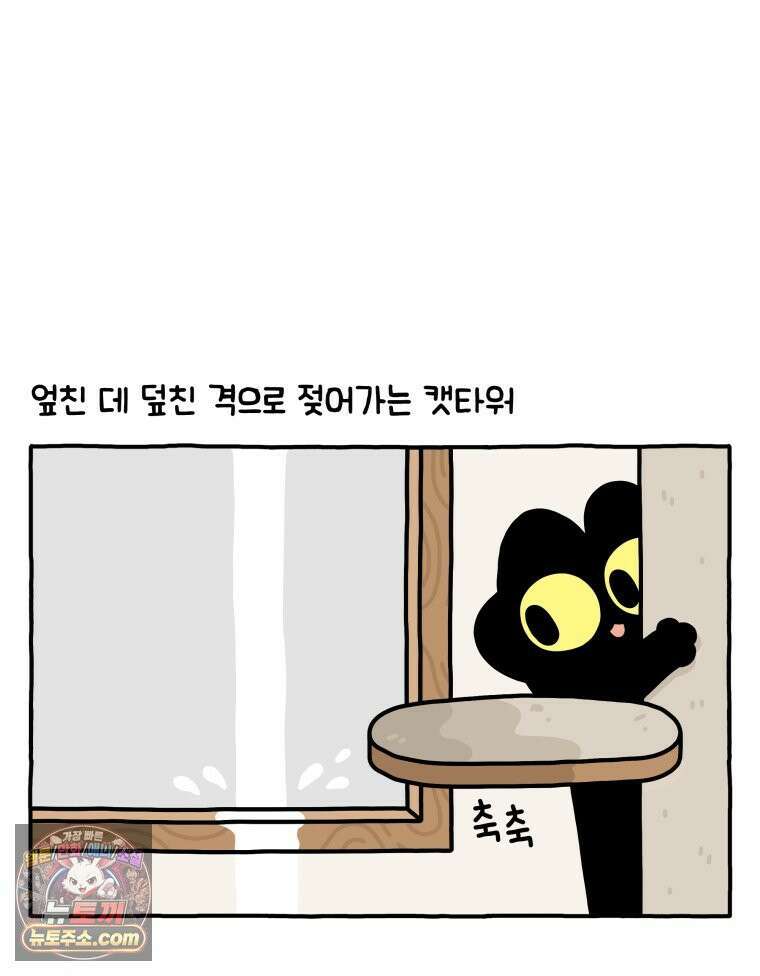먼지 덩어리 짱덕 43． 겨울이 왔다 23