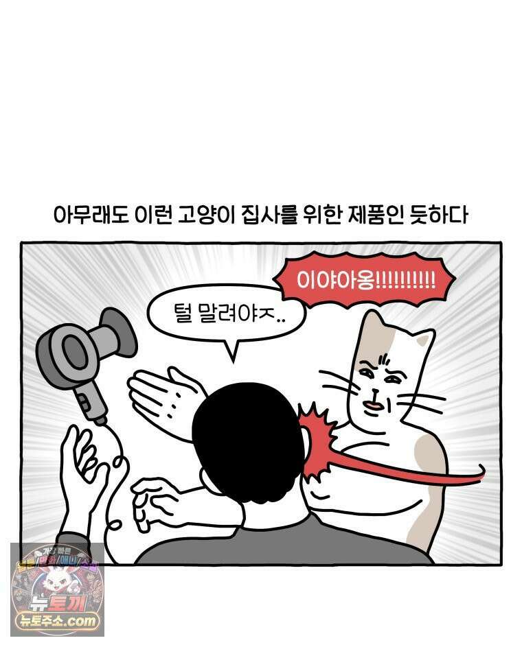 먼지 덩어리 짱덕 58． 고양이 용품의 세계 9