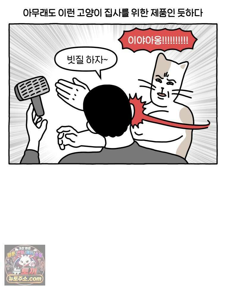 먼지 덩어리 짱덕 58． 고양이 용품의 세계 15