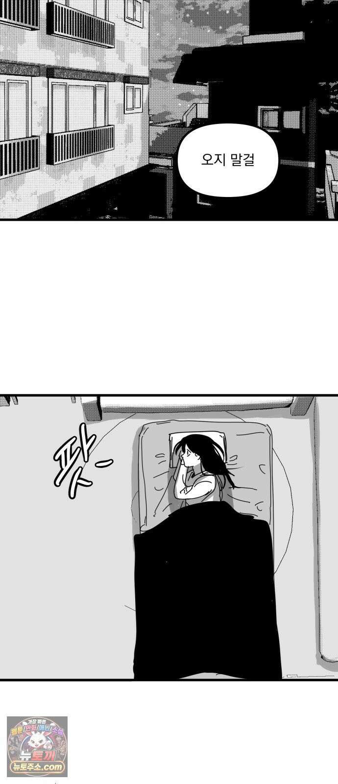 꽃과 재 12 69