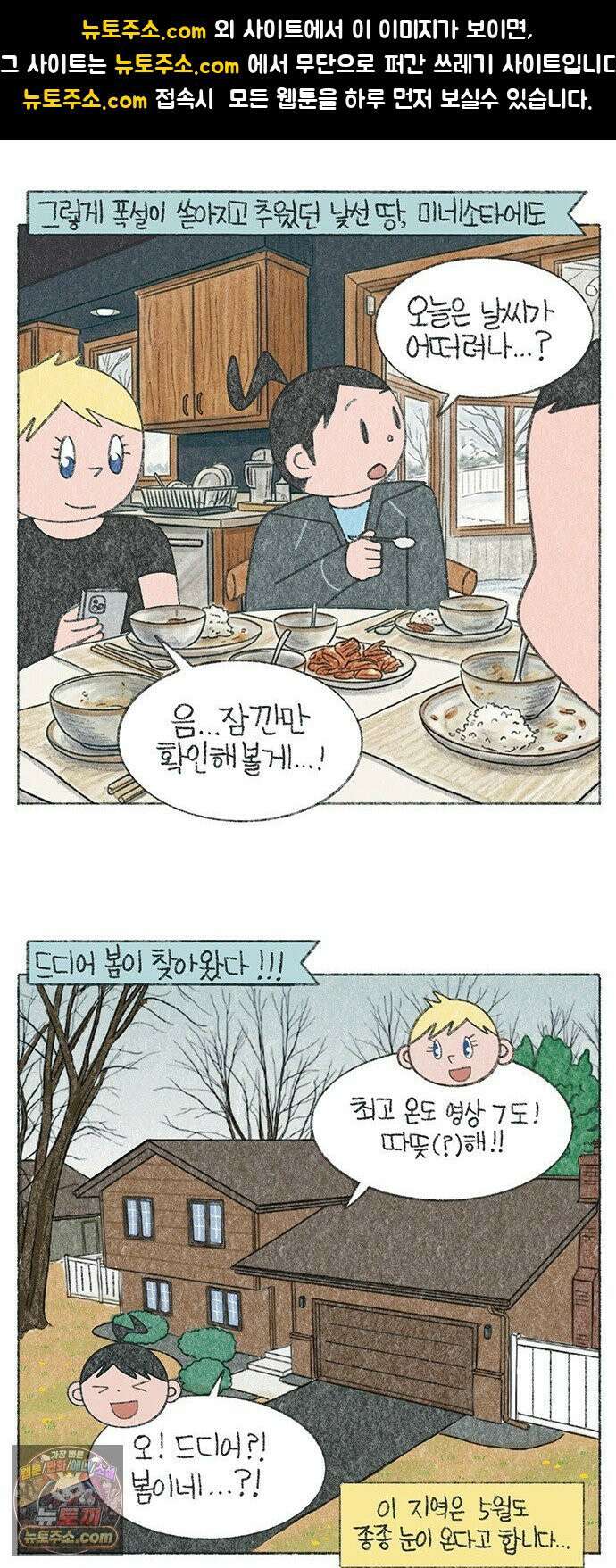 마님이네 미국 시골집 이야기 278화 민들레 꽃은 악당이야 1