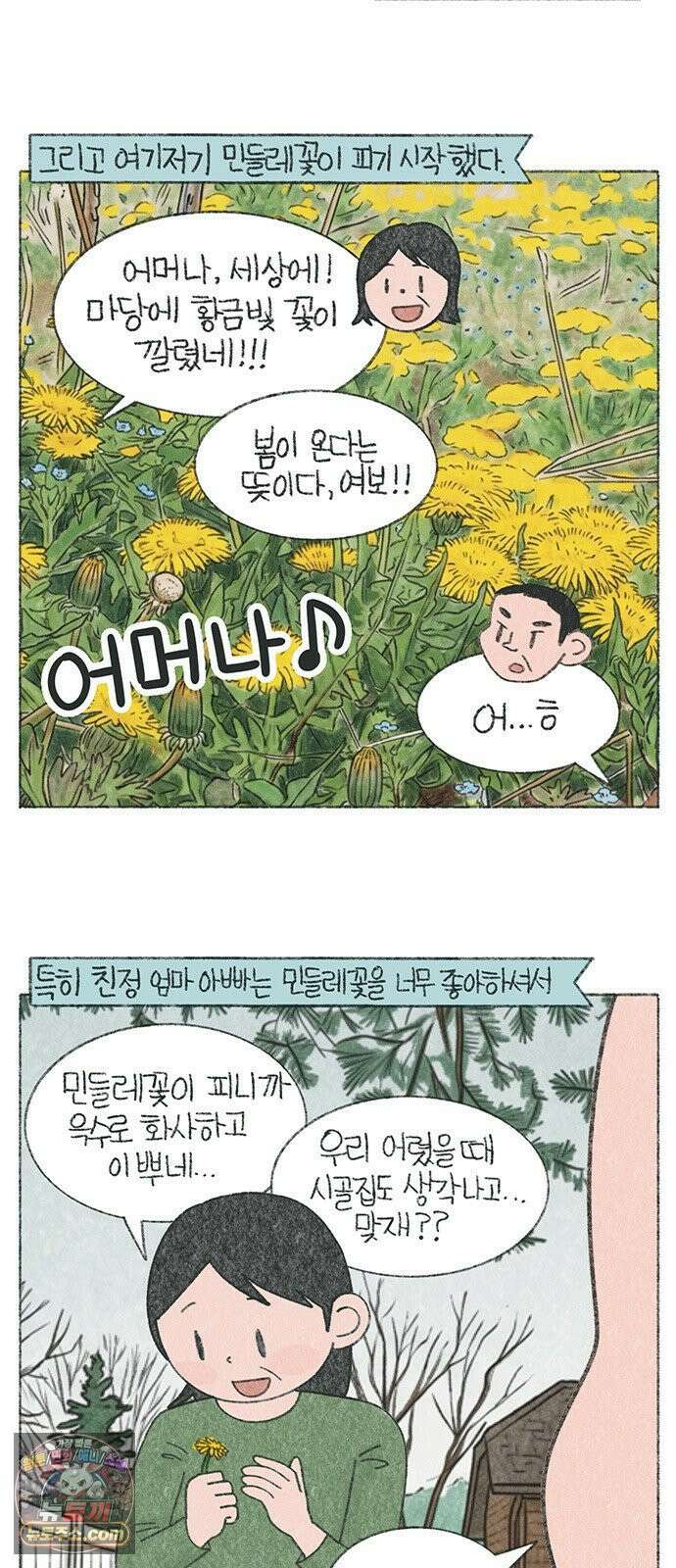 마님이네 미국 시골집 이야기 278화 민들레 꽃은 악당이야 2