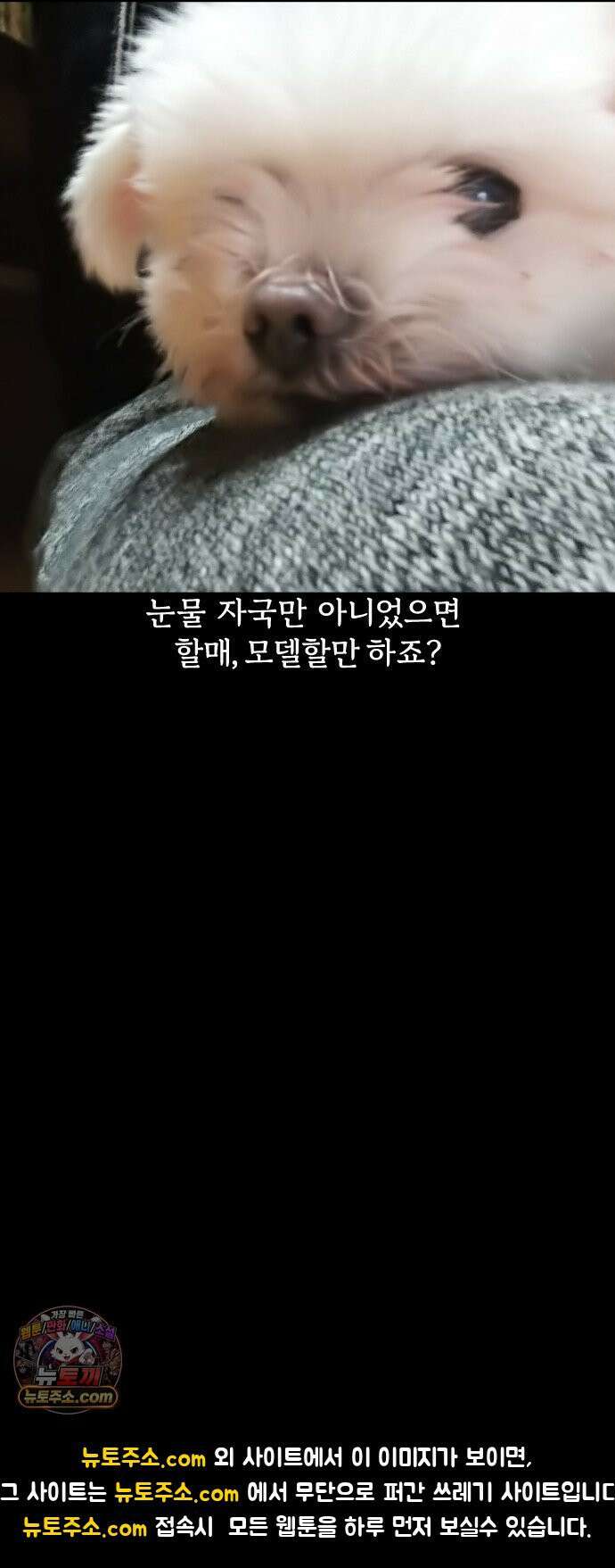 개집사 164화: 눈물 흘리지 말아요 그대 19