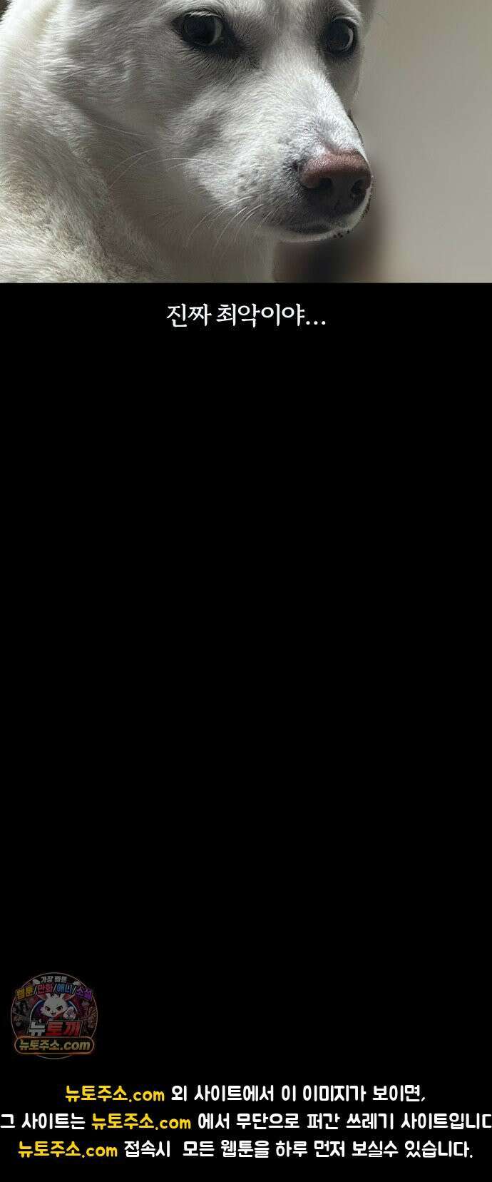 개집사 171화: 매너 19