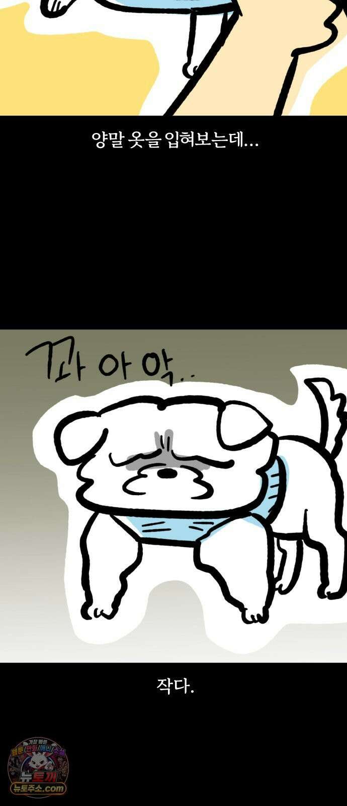 개집사 179화: 미스개리아 15