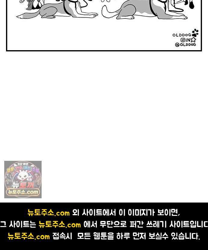 펫로스클럽 ＃36． 바글이, 마을이, 그리고 43
