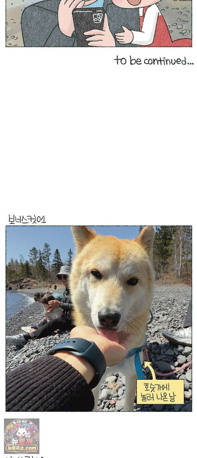 마님이네 미국 시골집 이야기 285화 호숫가에 간 날 6