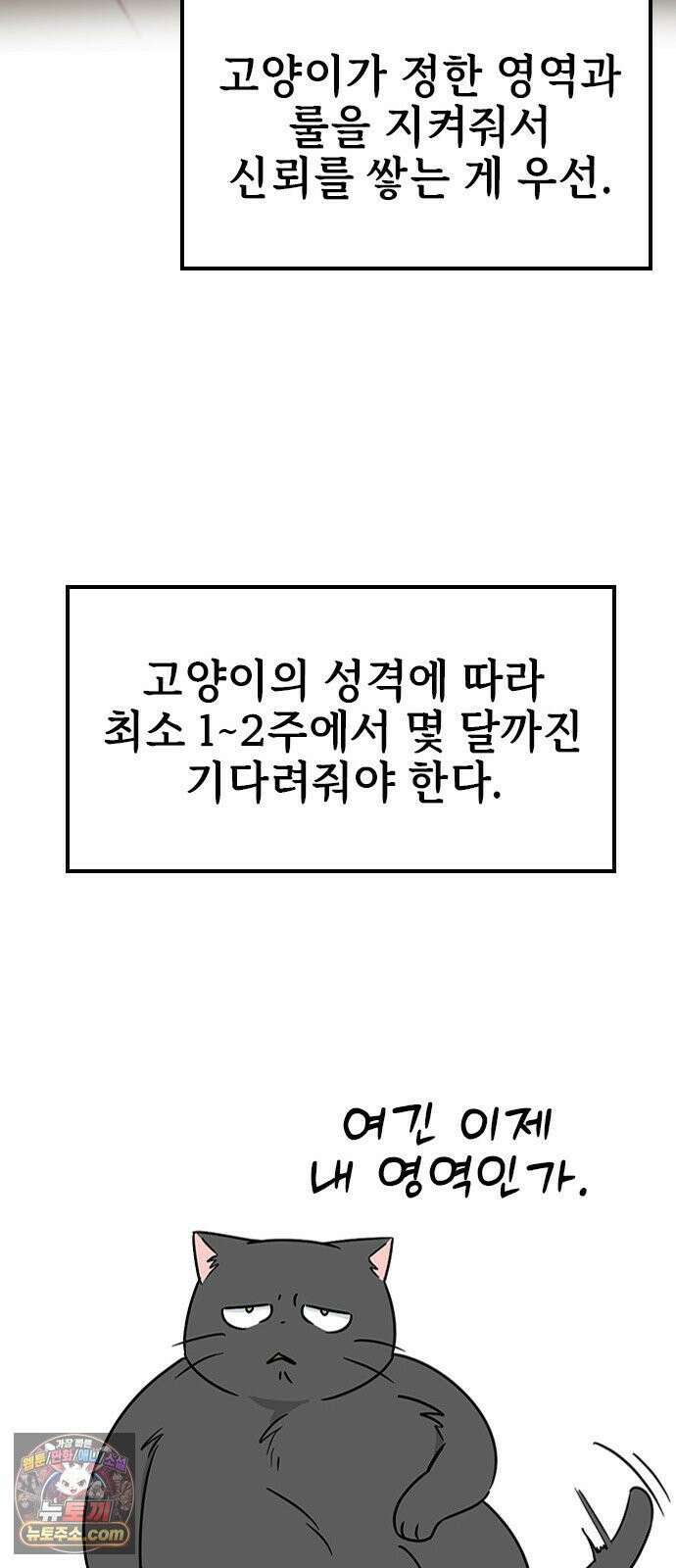 세상 사람들이 모두가 고양이라면 3화 29