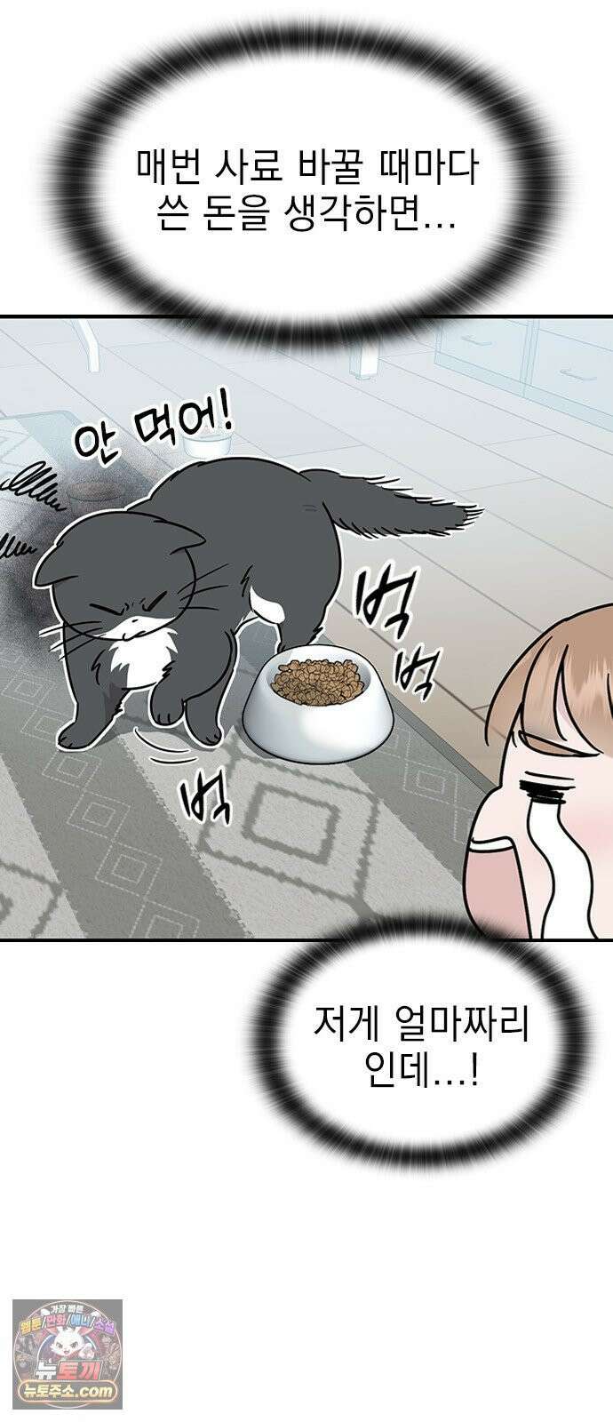 세상 사람들이 모두가 고양이라면 3화 46
