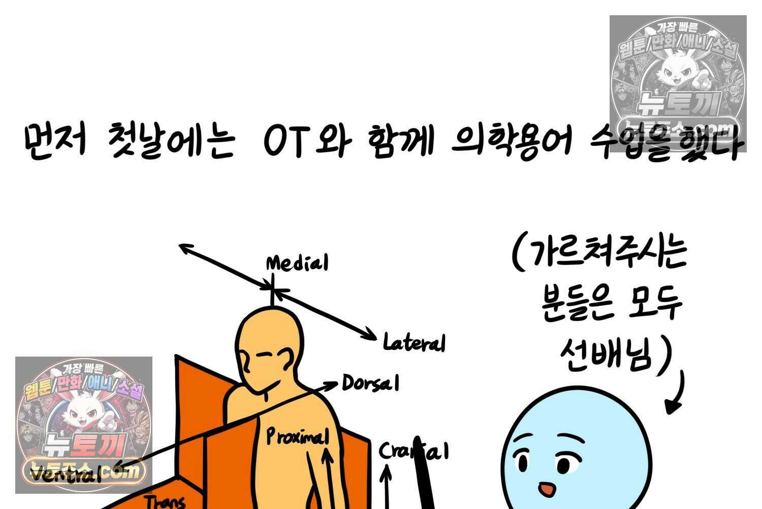 재활용 머학생 141화 골학을 알아보자(1) 56