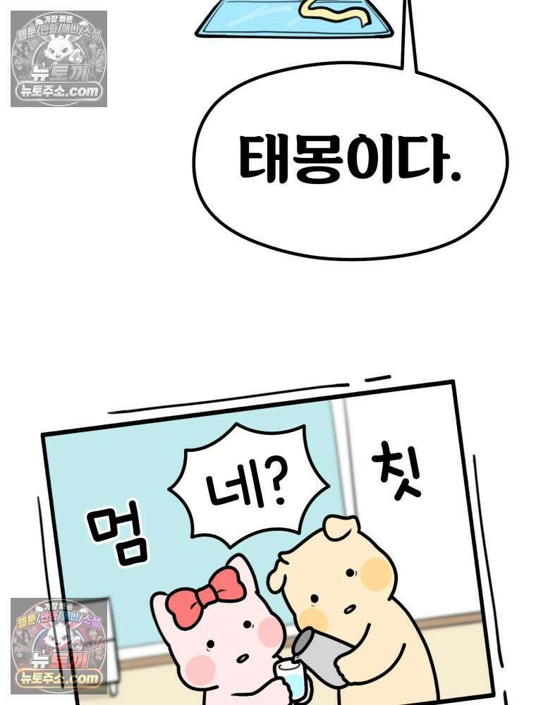 멍냥패밀리 7화 임밍아웃, 태몽 25