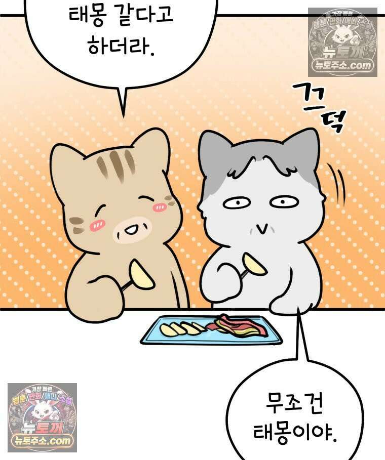 멍냥패밀리 7화 임밍아웃, 태몽 42