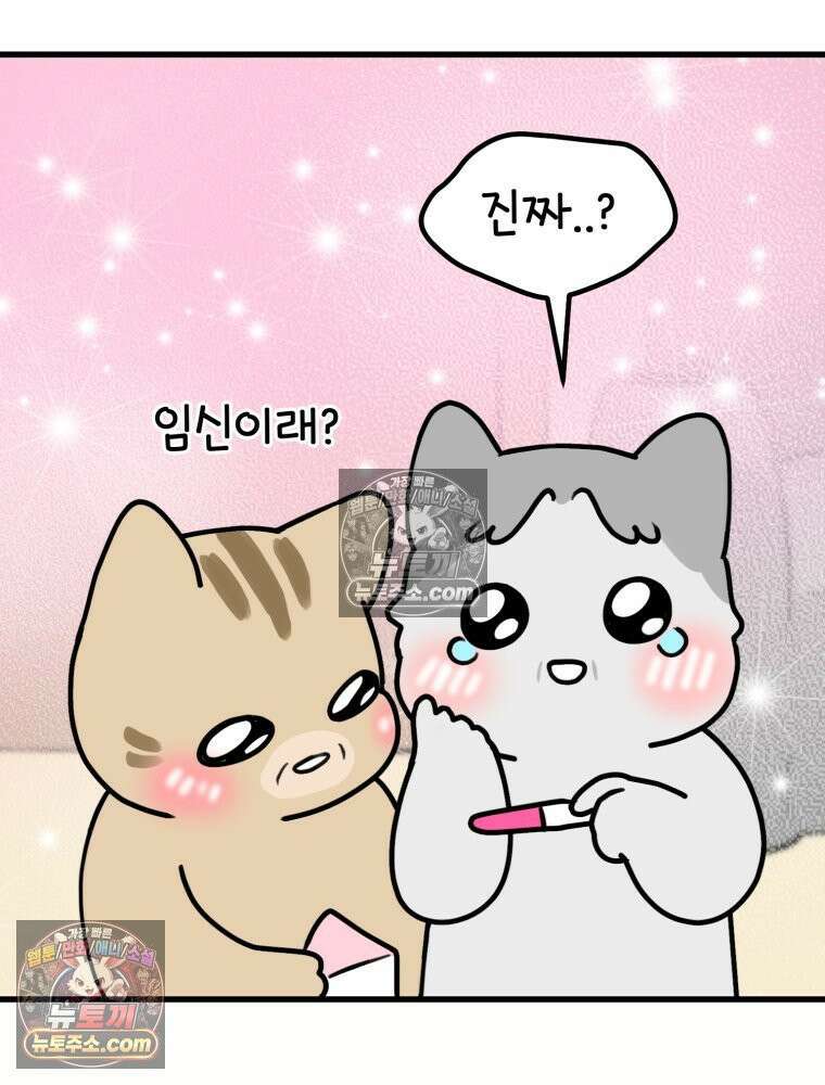 멍냥패밀리 7화 임밍아웃, 태몽 68