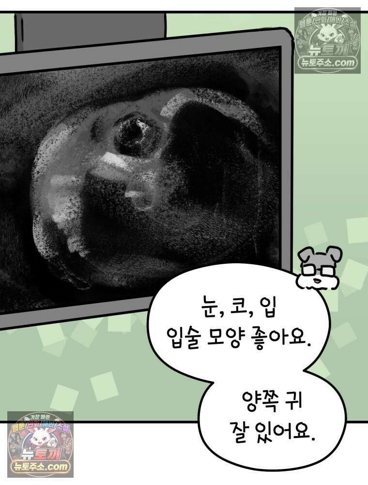 멍냥패밀리 29화 정밀 초음파, 입체초음파 6